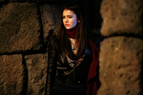 Still of Nina Dobrev in Vampyro dienorasciai (2009)