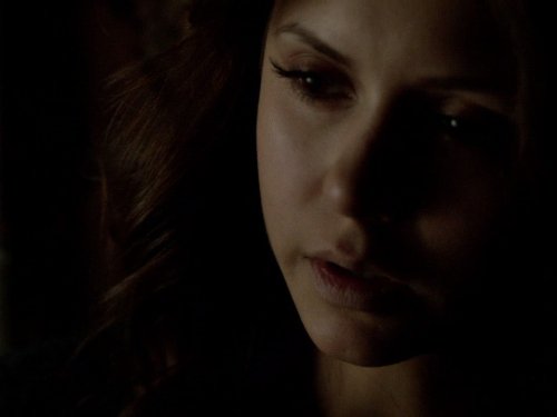 Still of Nina Dobrev in Vampyro dienorasciai (2009)