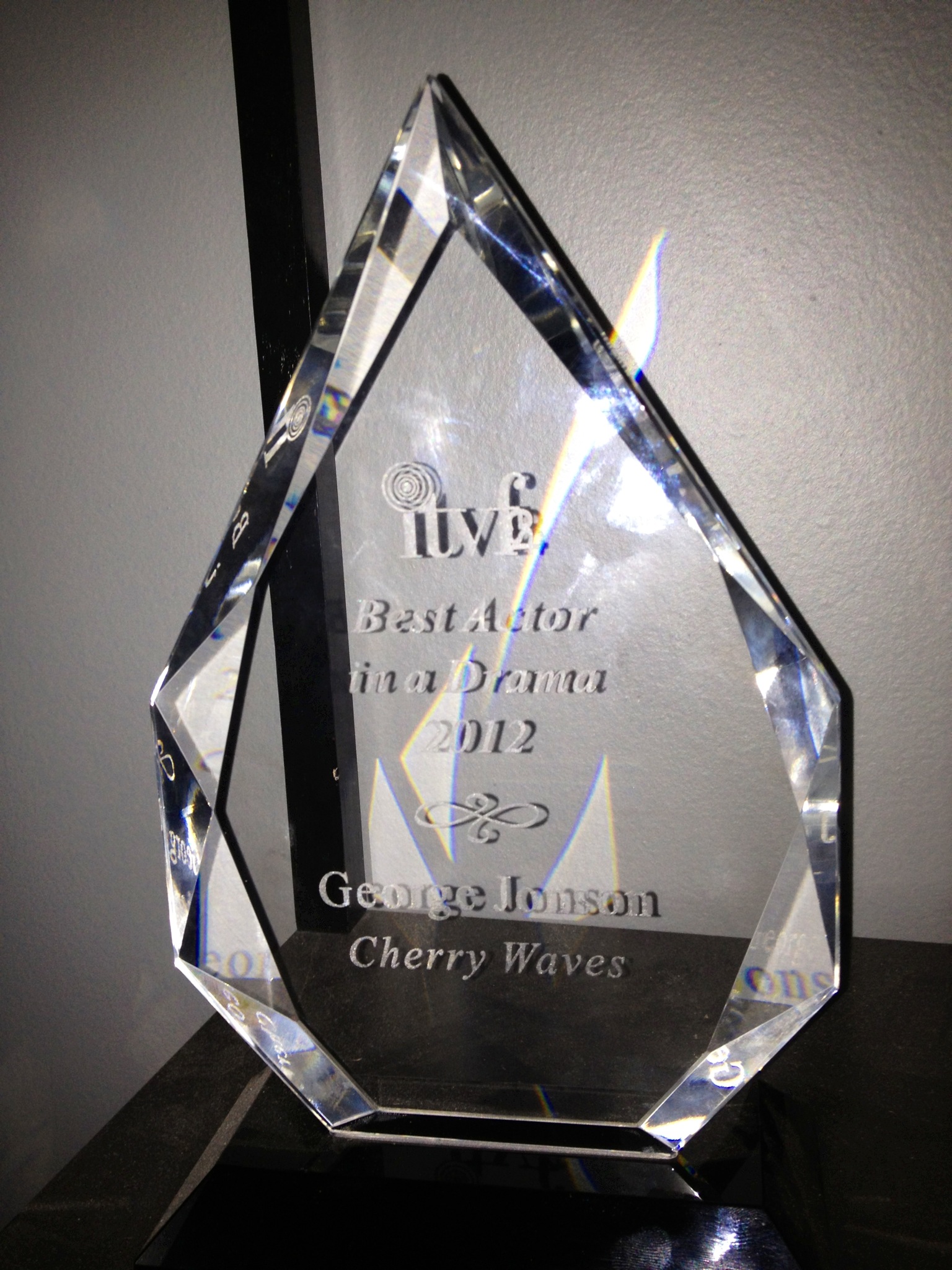 ITVFest, 2012, Best Actor in a Drama: George Jonson, 'Cherry Waves'