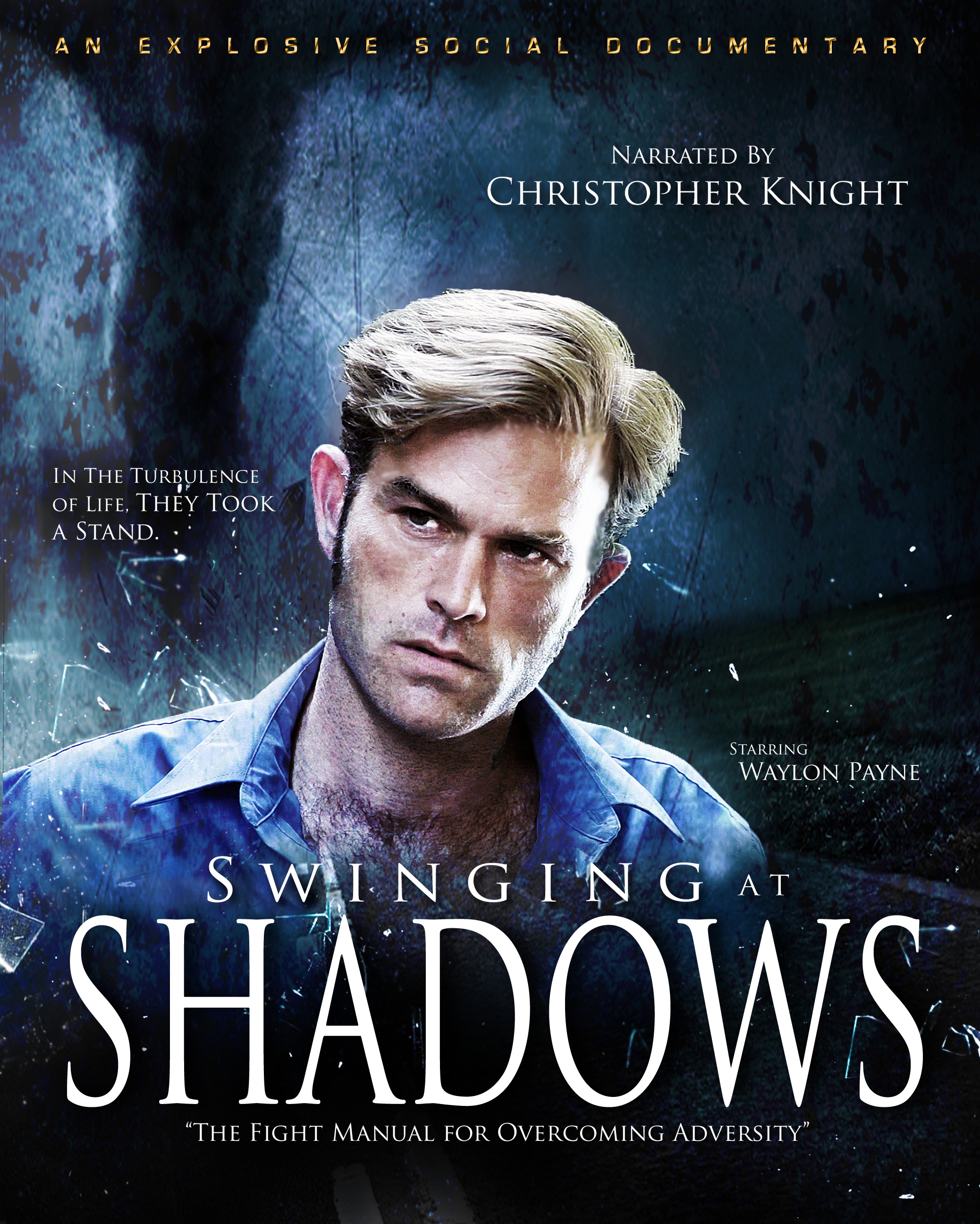 Swinging at Shadows graphic.