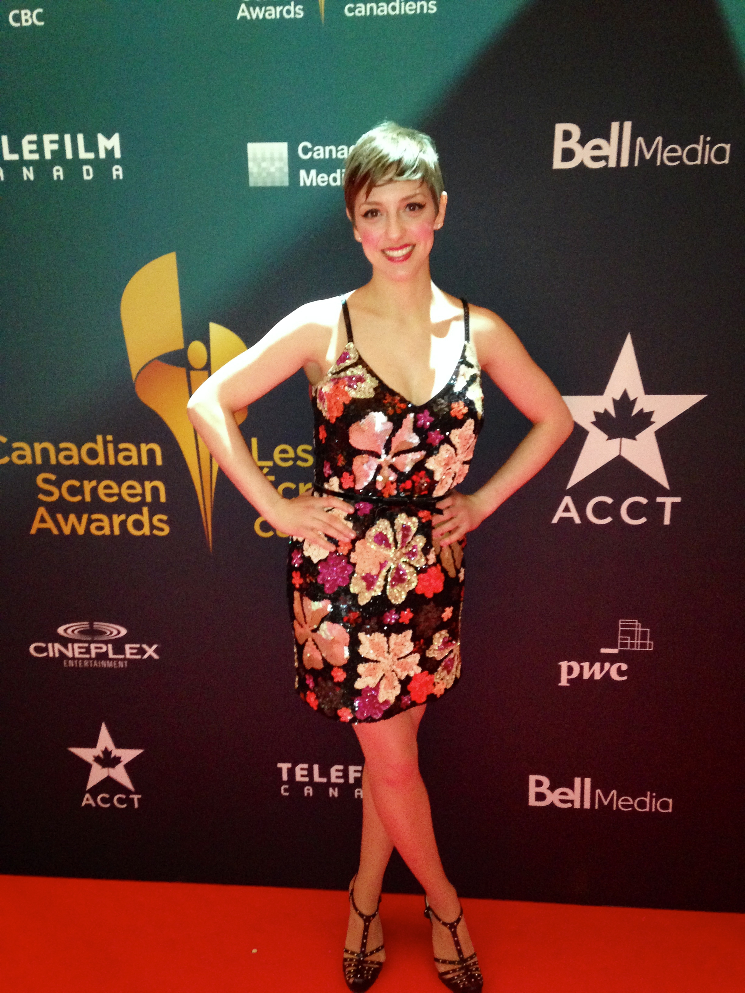 Canadian Screen Awards 2014