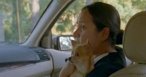 Middle of Nowhere Anny Ibarra as Elena and Smooch (dog)