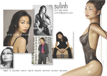 MODEL COMPOSITE CARD