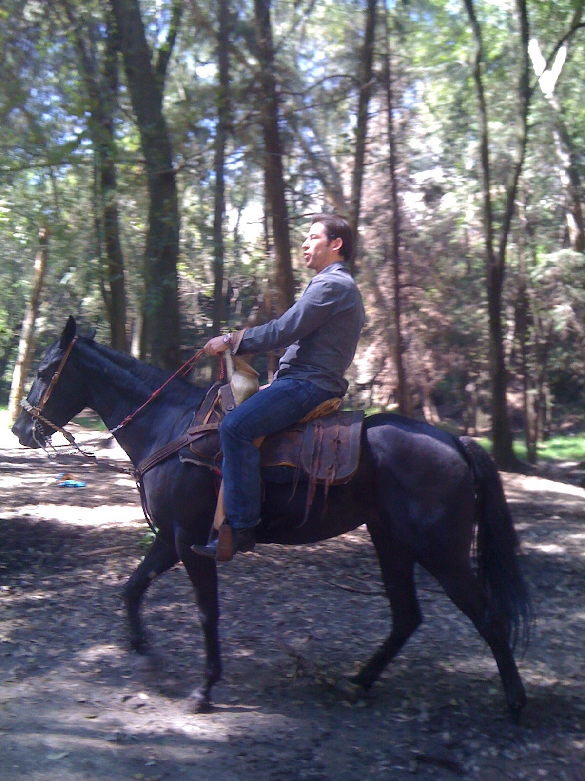 Horse back riding