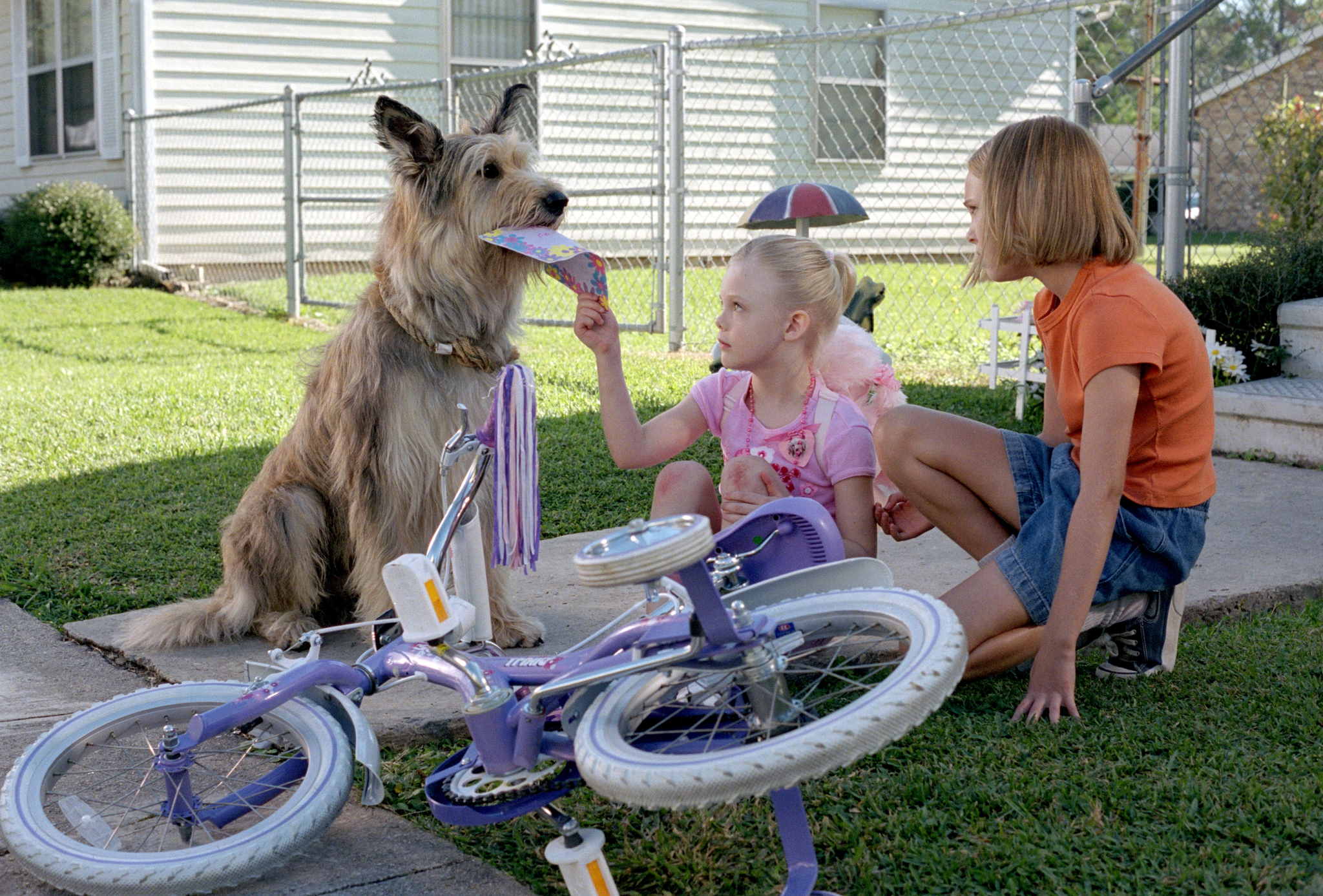 Still of Elle Fanning and AnnaSophia Robb in Because of Winn-Dixie (2005)