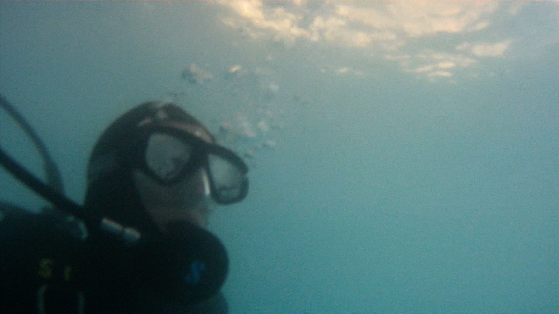 Production still for Don't Swim Alone. Directing underwater.