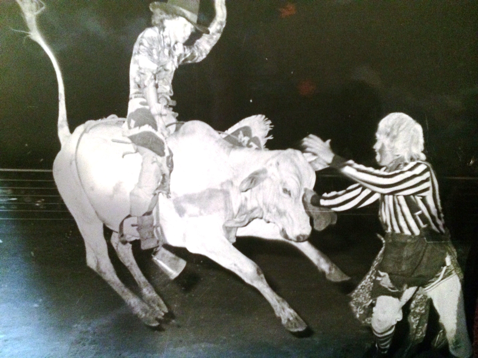 Conley Wilson / Rodeo Clown Bullfighter