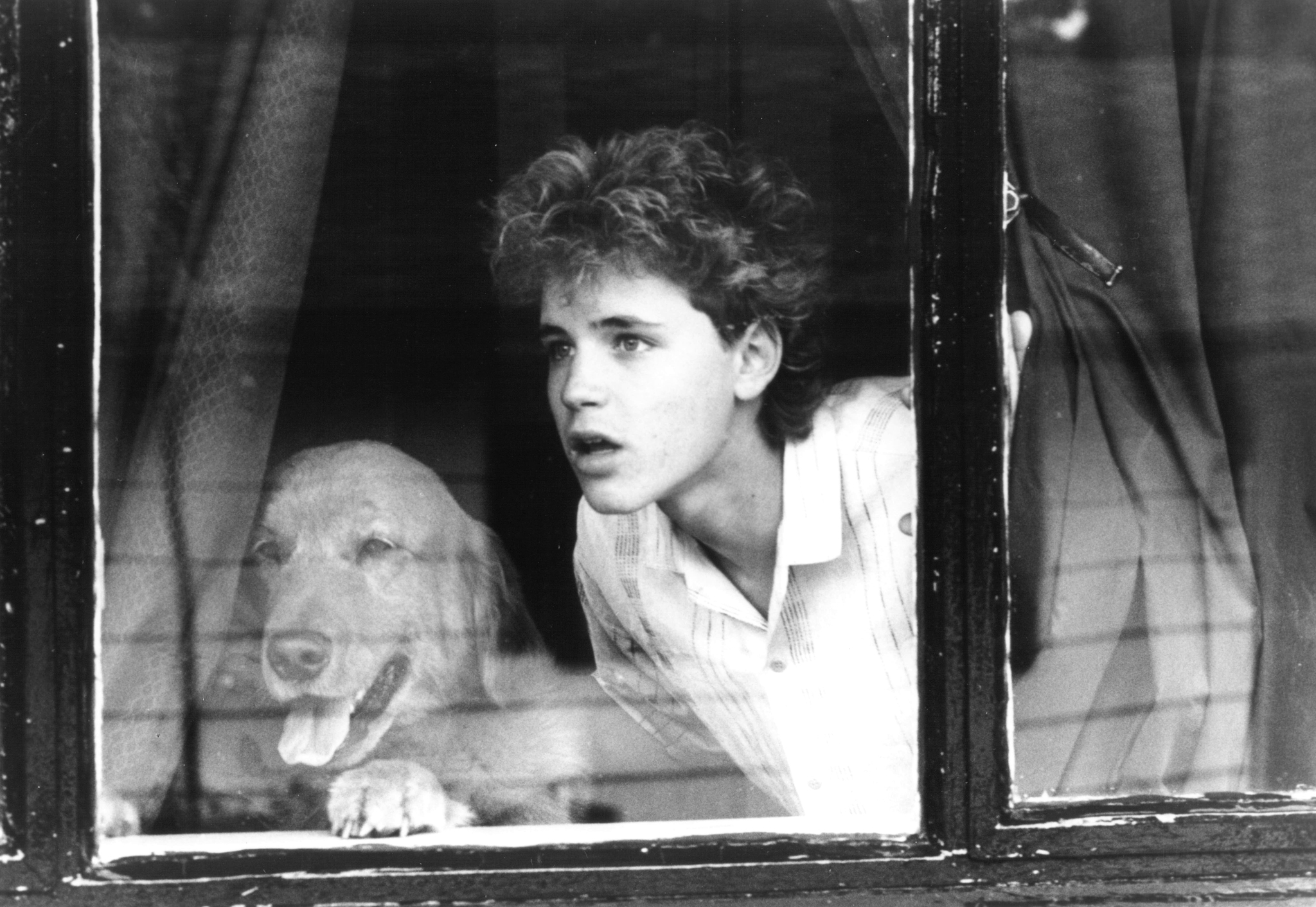 Still of Corey Haim in Watchers (1988)