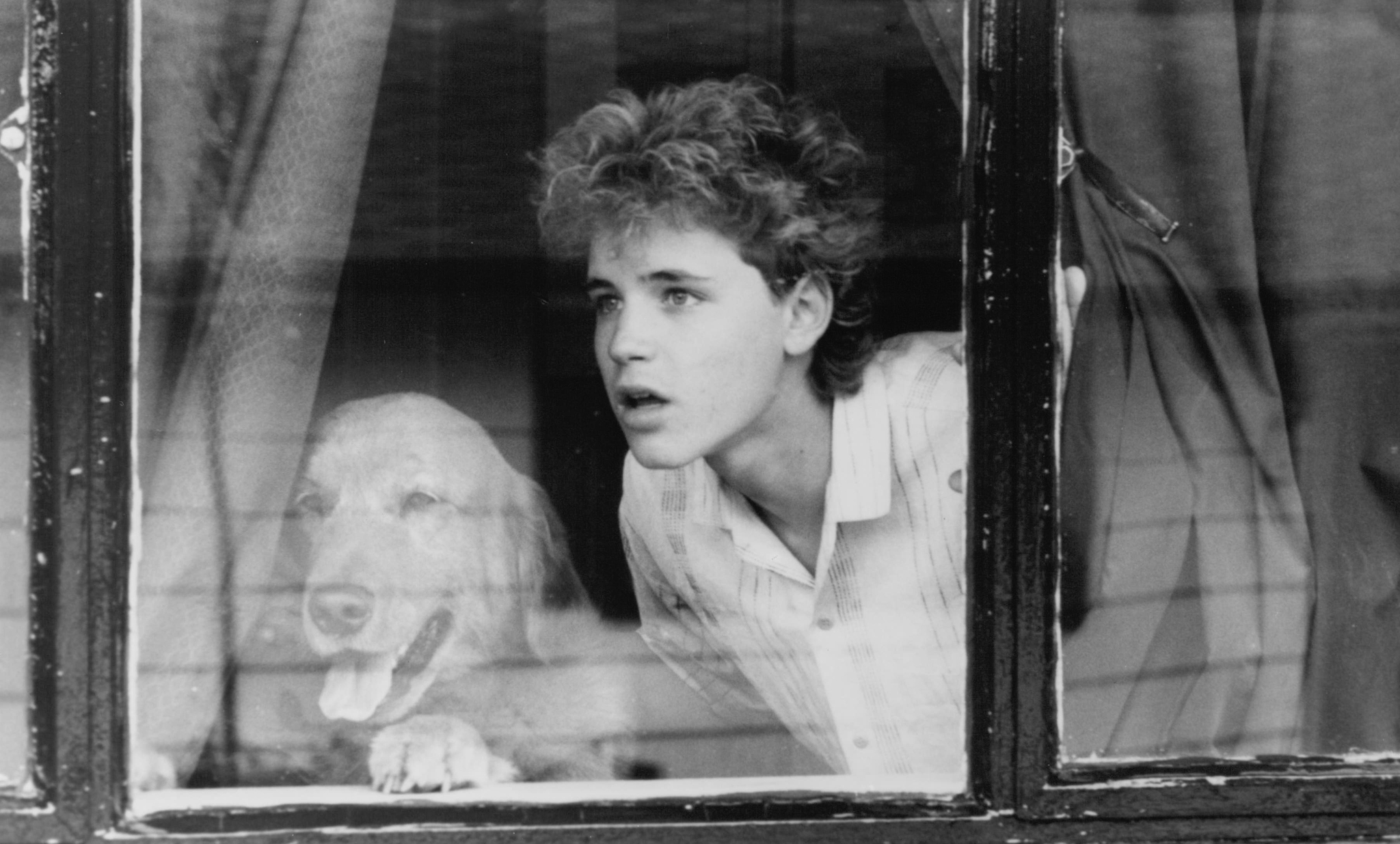 Still of Corey Haim in Watchers (1988)