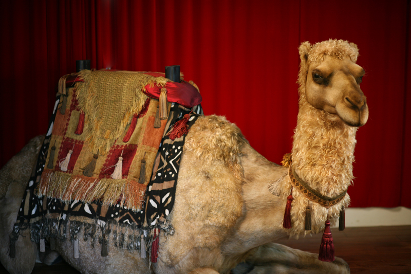 BESS the camel created for Madame Tussauds Hollywood.