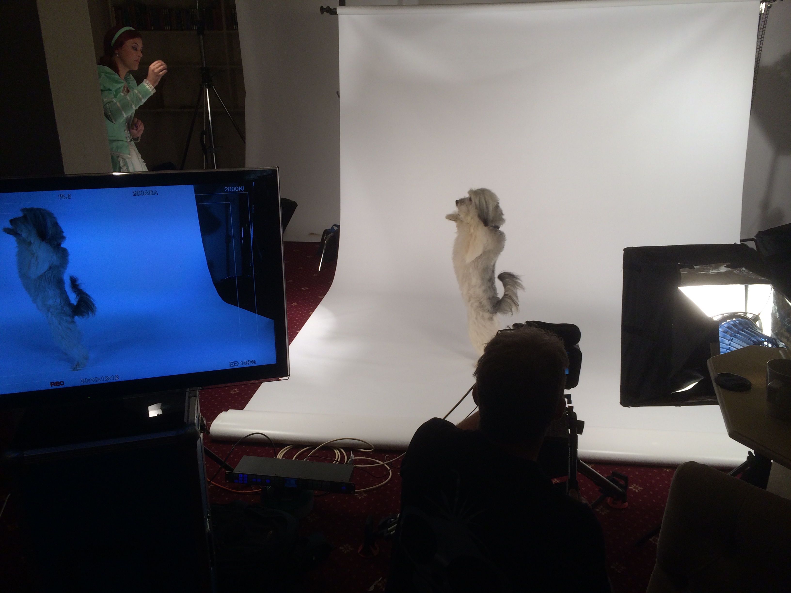 Shooting TV ad for Bristol Hippodrome panto with Ashley and Pudsey