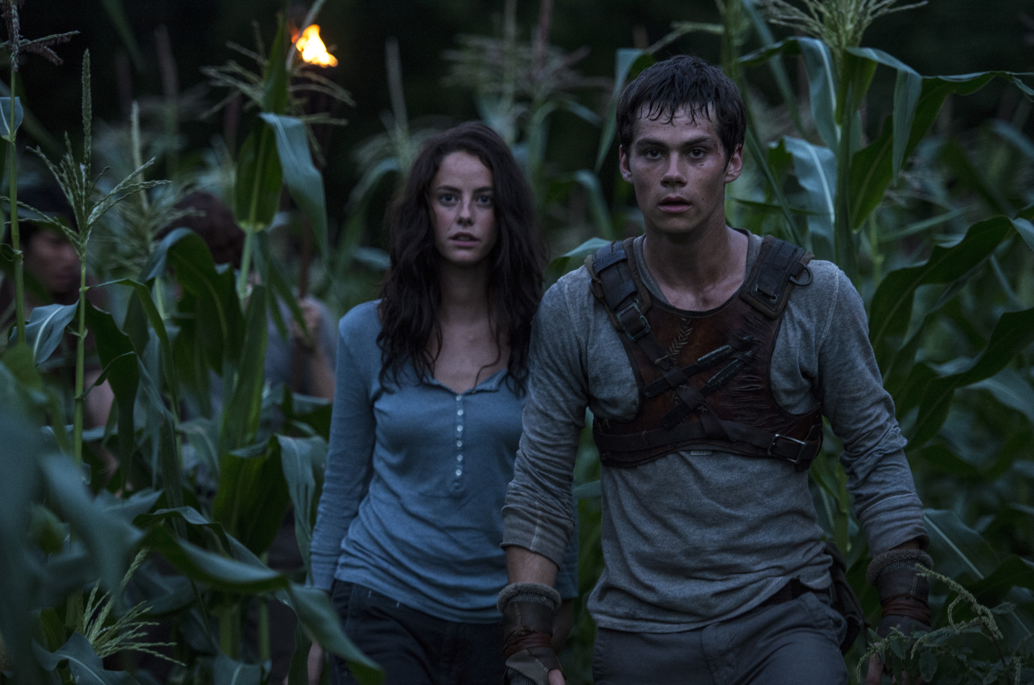 Still of Kaya Scodelario and Dylan O'Brien in Begantis labirintu (2014)