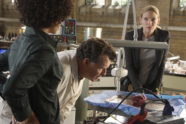 Still of John Noble, Anna Torv and Jasika Nicole in Ties riba (2008)