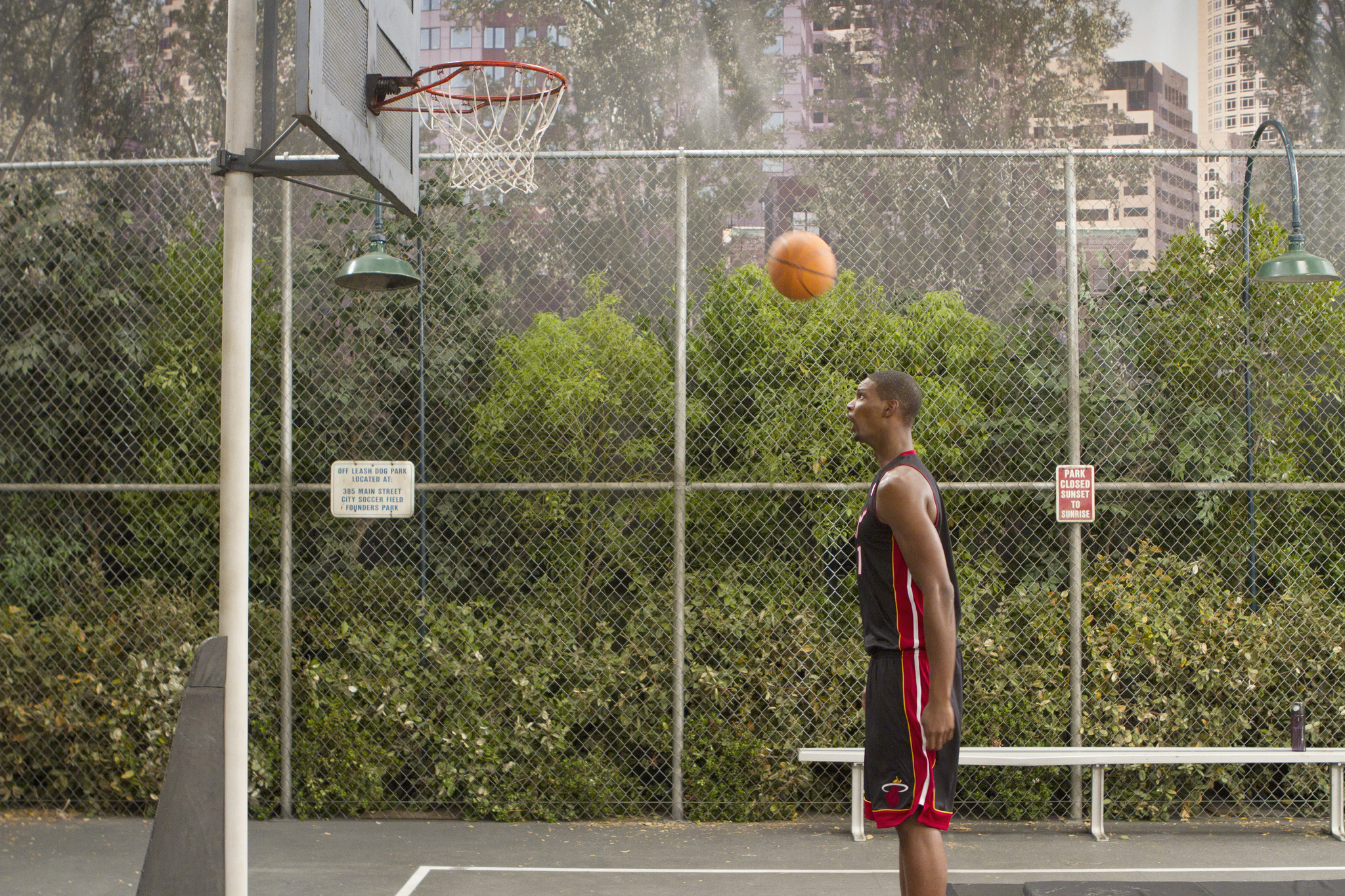 Still of Chris Bosh in Jessie: Say Yes to the Messy Dress (2013)