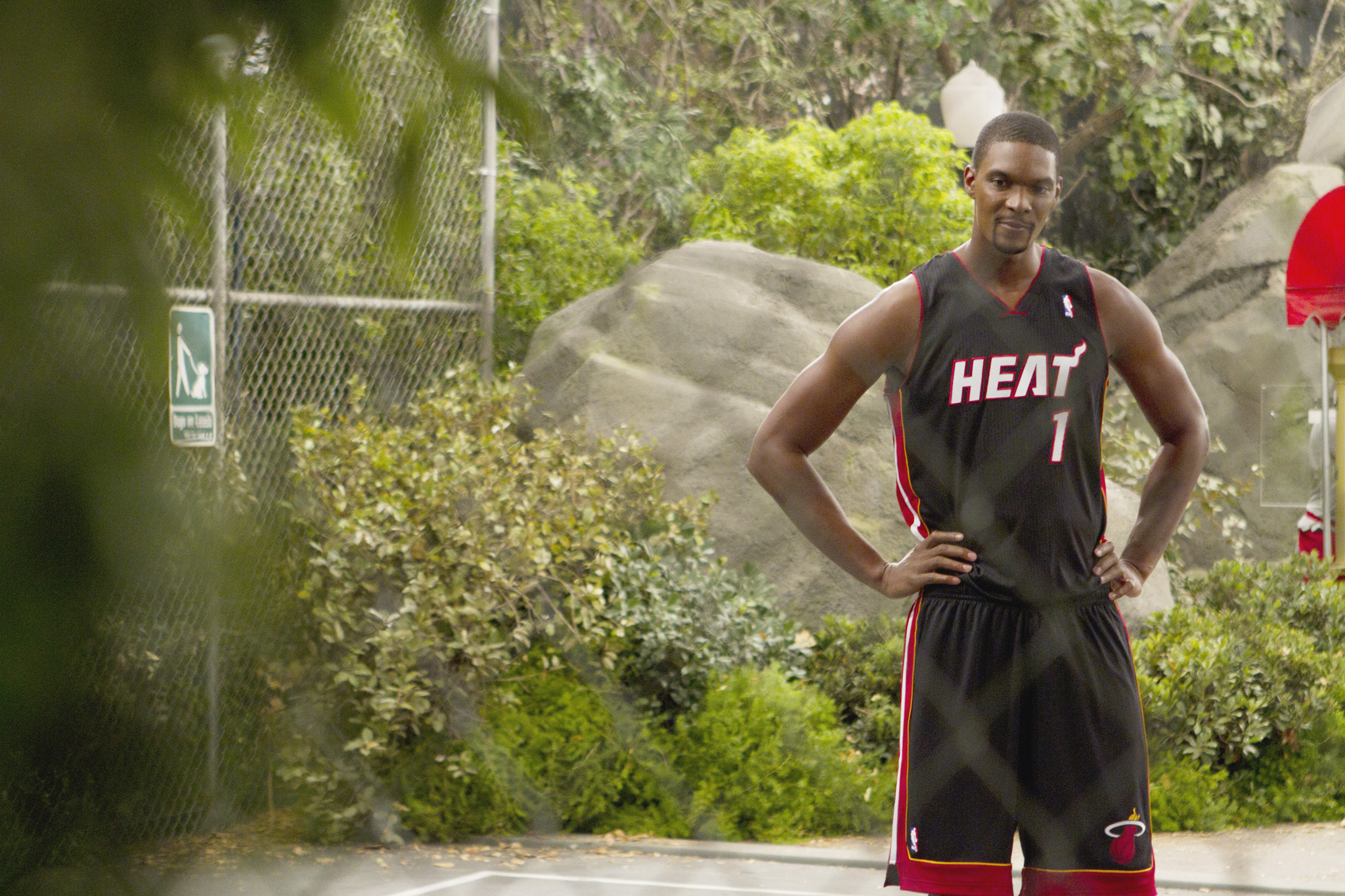 Still of Chris Bosh in Jessie: Say Yes to the Messy Dress (2013)