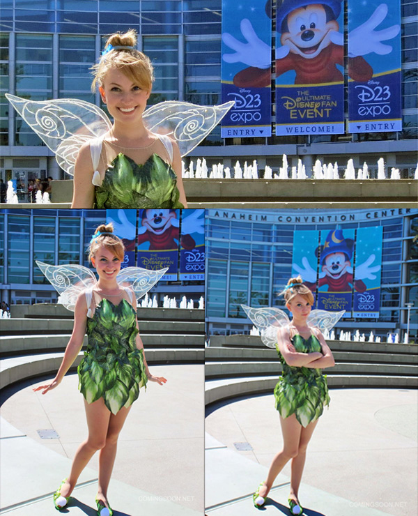 The Ultimate Disney Fan Convention : D23 Expo