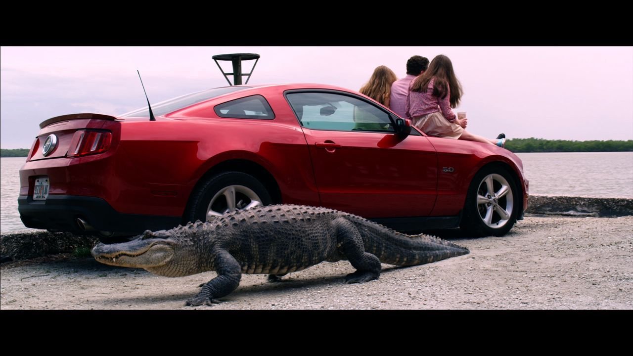 Neil Casey, Alex Jennings and Nina Smilow in Gator Farm (2012)