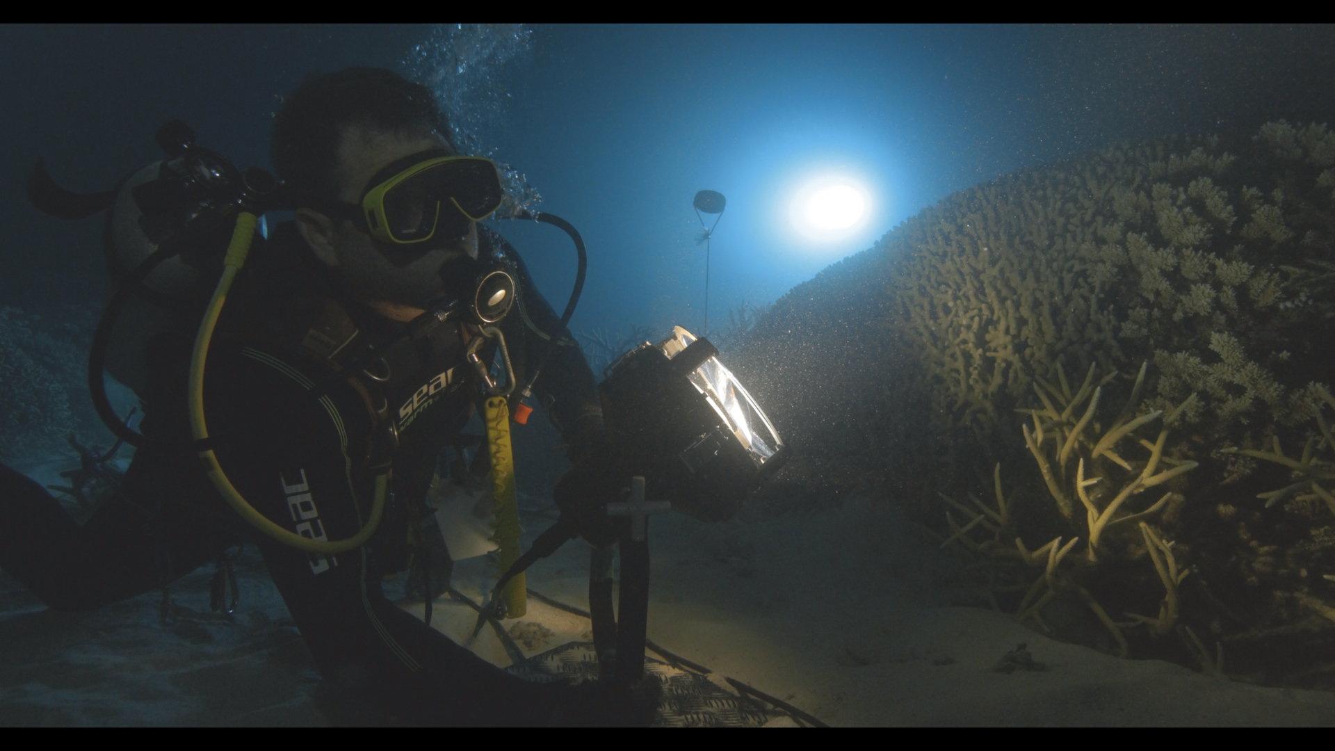 NHK Japan Great Barrier Reef Australia