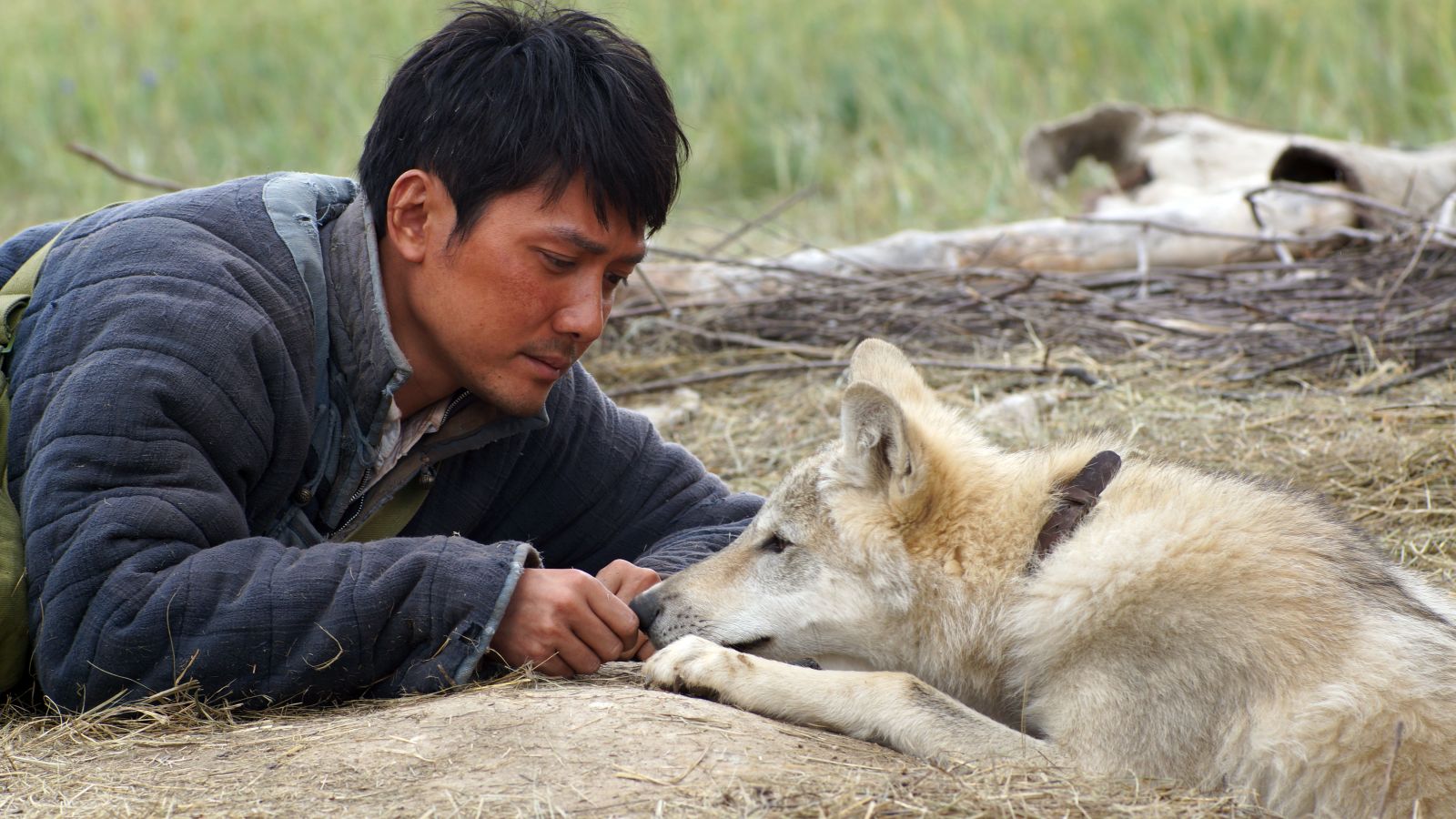 Still of Shaofeng Feng in Wolf Totem (2015)