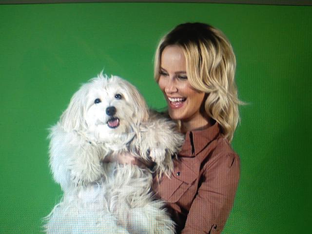 Danika Quinn on set of Falco K9 Academy TV with her dog, Cupcake.