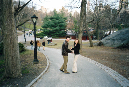 Central Park New York (2006).