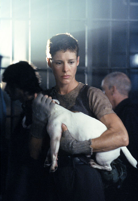 Still of Rachel Hayward and Vinnie in Harsh Realm (1999)