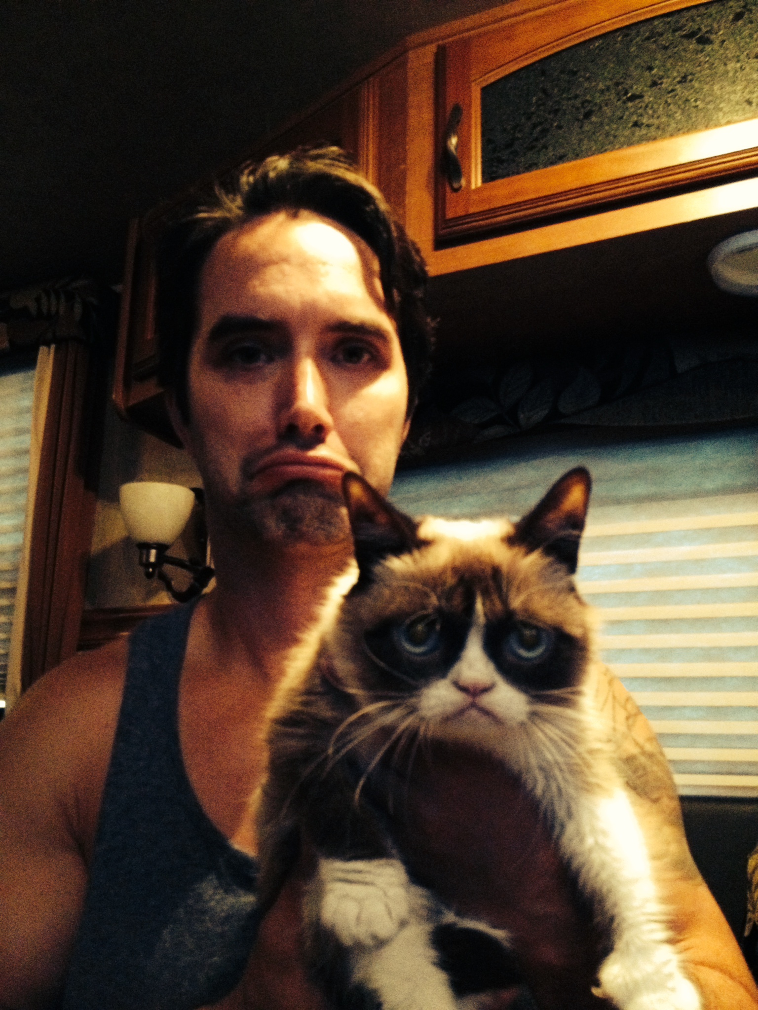 Casey Manderson and Grumpy Cat in Grumpy Cat's Worst Christmas Ever (2014)