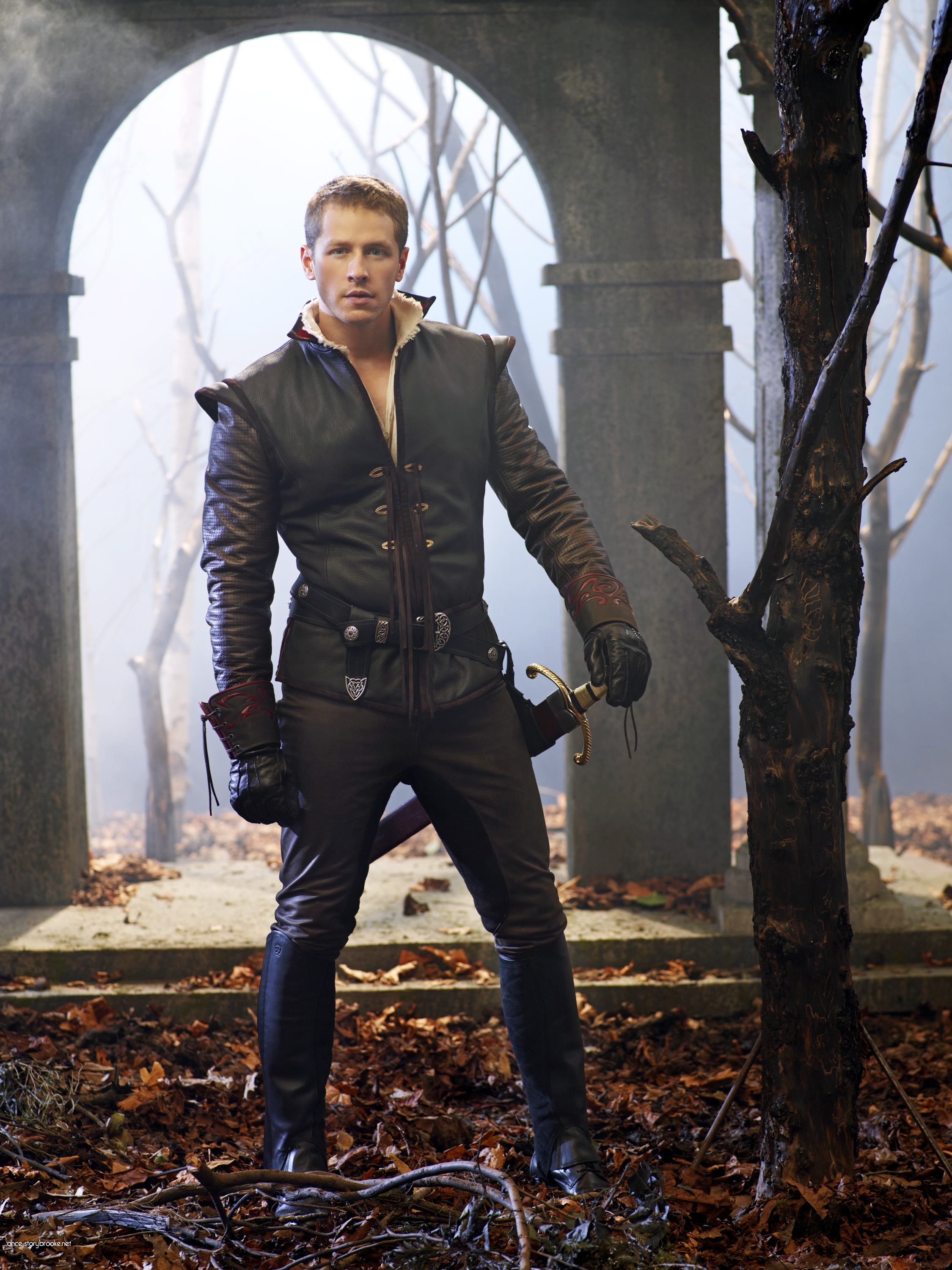 As Prince Charming in Once Upon A Time.