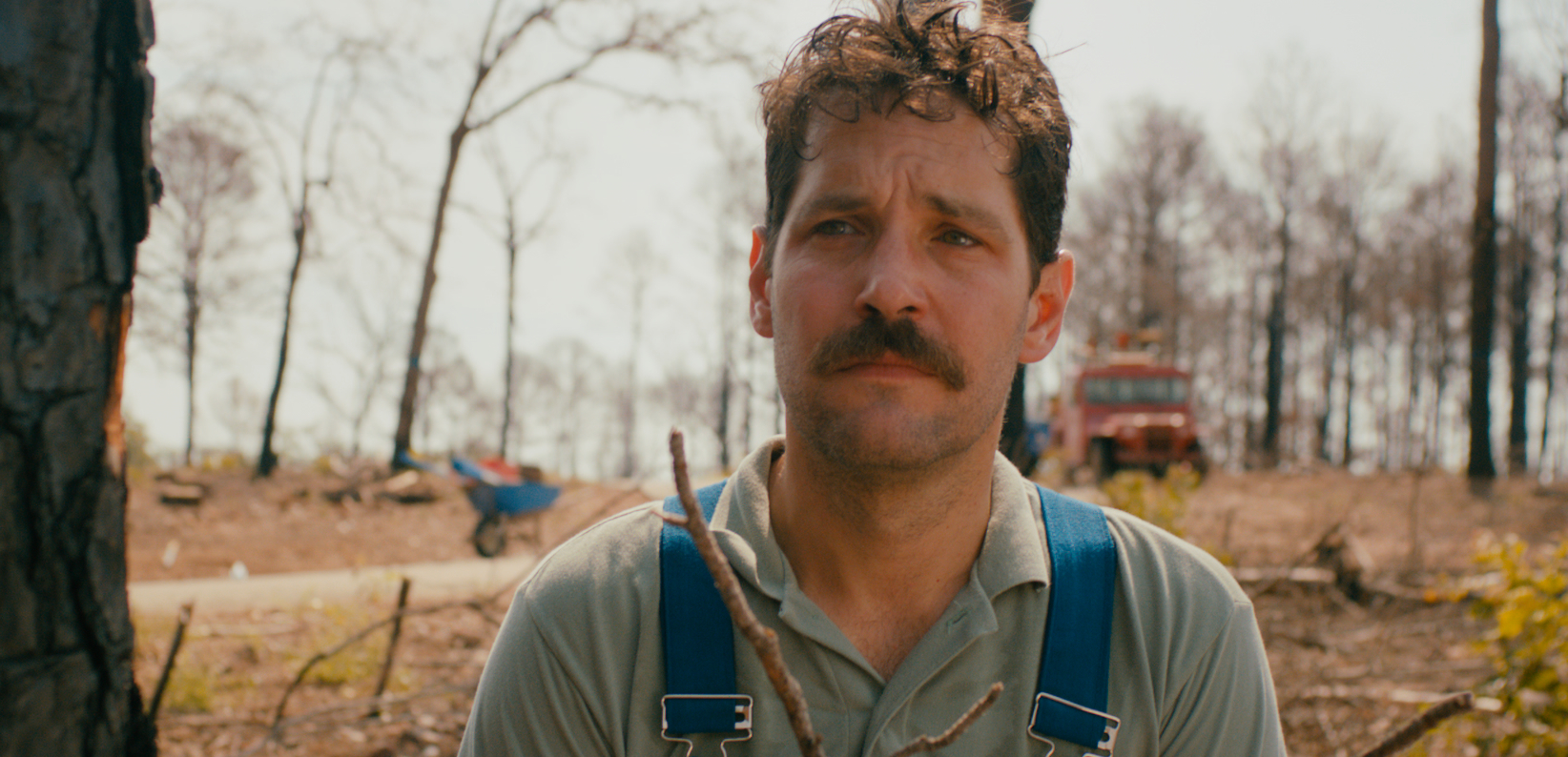 Still of Paul Rudd in Prince Avalanche (2013)