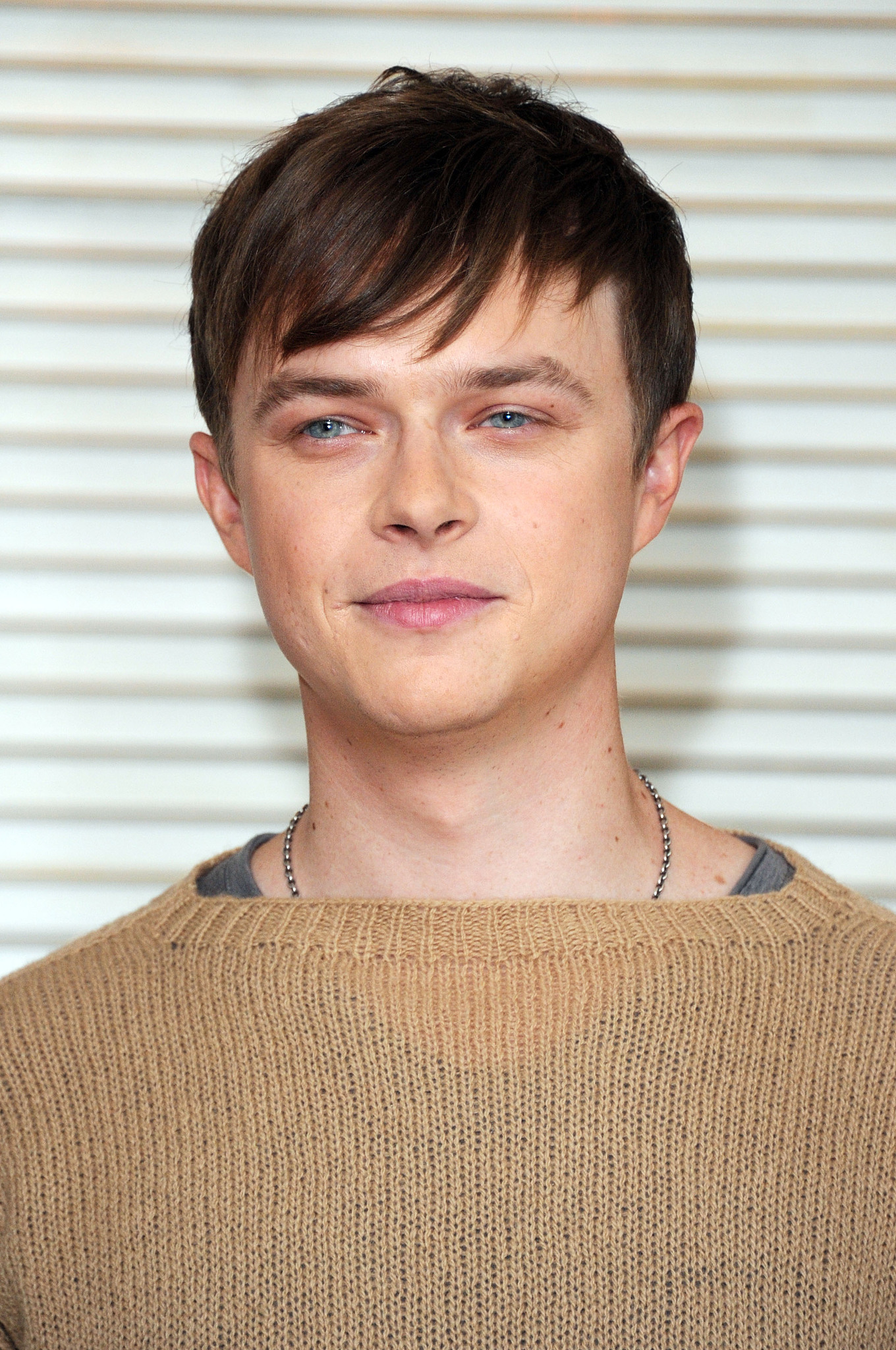 Dane DeHaan at event of Nuzudyk tuos, kuriuos myli (2013)