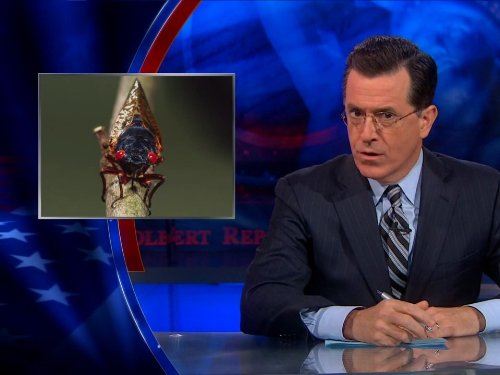 Still of Stephen Colbert in The Colbert Report (2005)