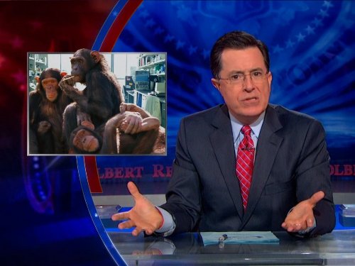 Still of Stephen Colbert in The Colbert Report (2005)