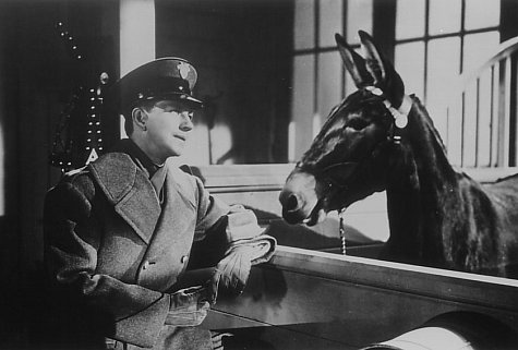 Still of Donald O'Connor and Francis the Talking Mule in Francis Goes to West Point (1952)
