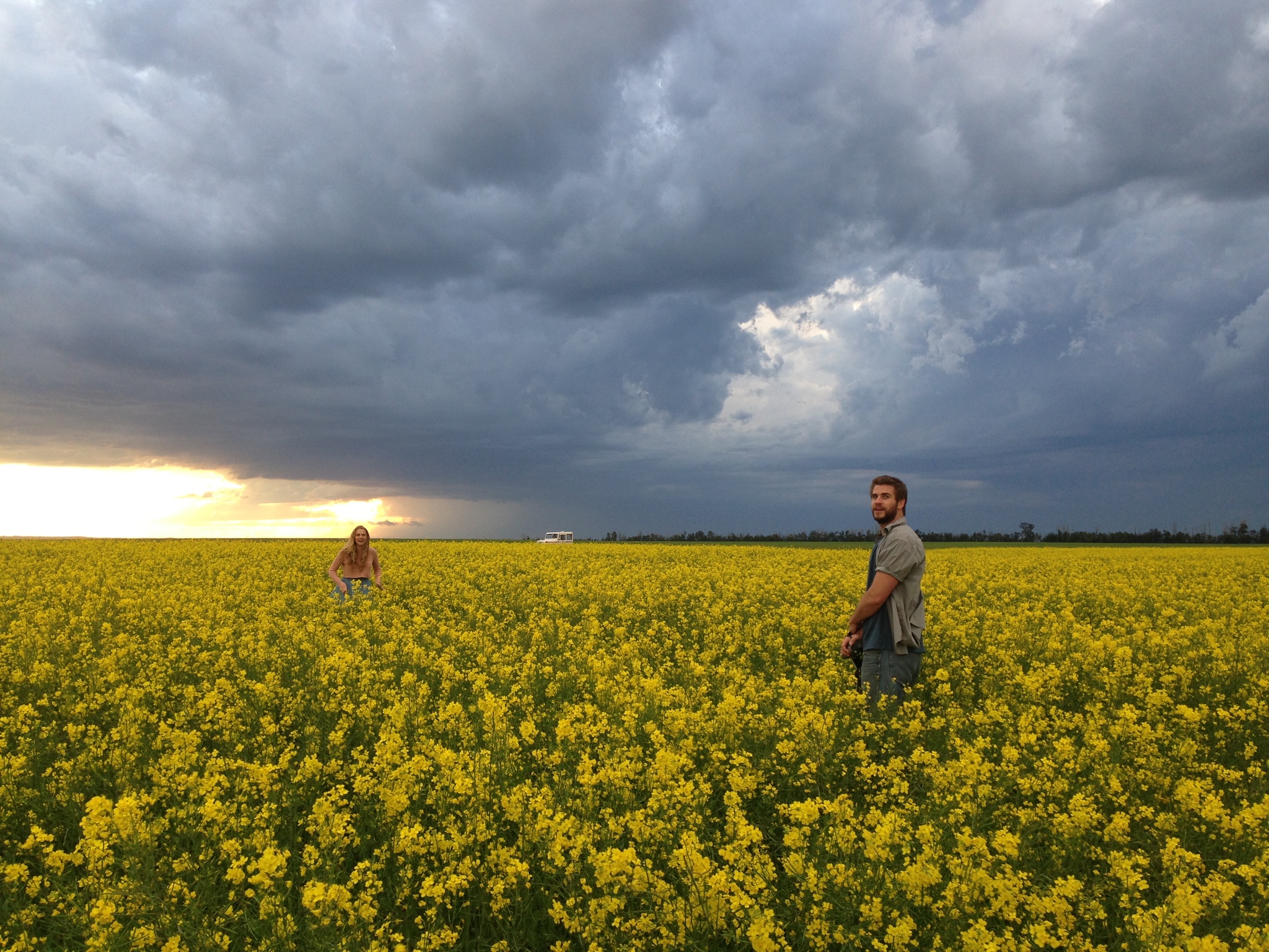 Still of Teresa Palmer and Liam Hemsworth in Cut Bank (2014)