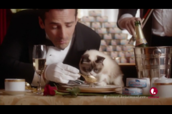 Michael Patrick Denis and Grumpy Cat in Grumpy Cat's Worst Christmas Ever (2014)