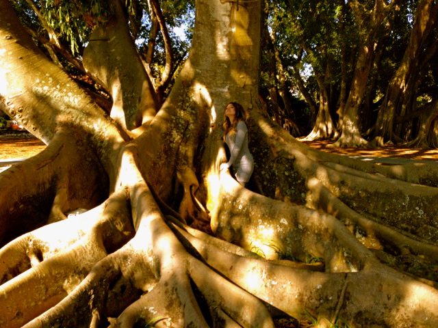 A tree and me thriving In Florida during the Winter.