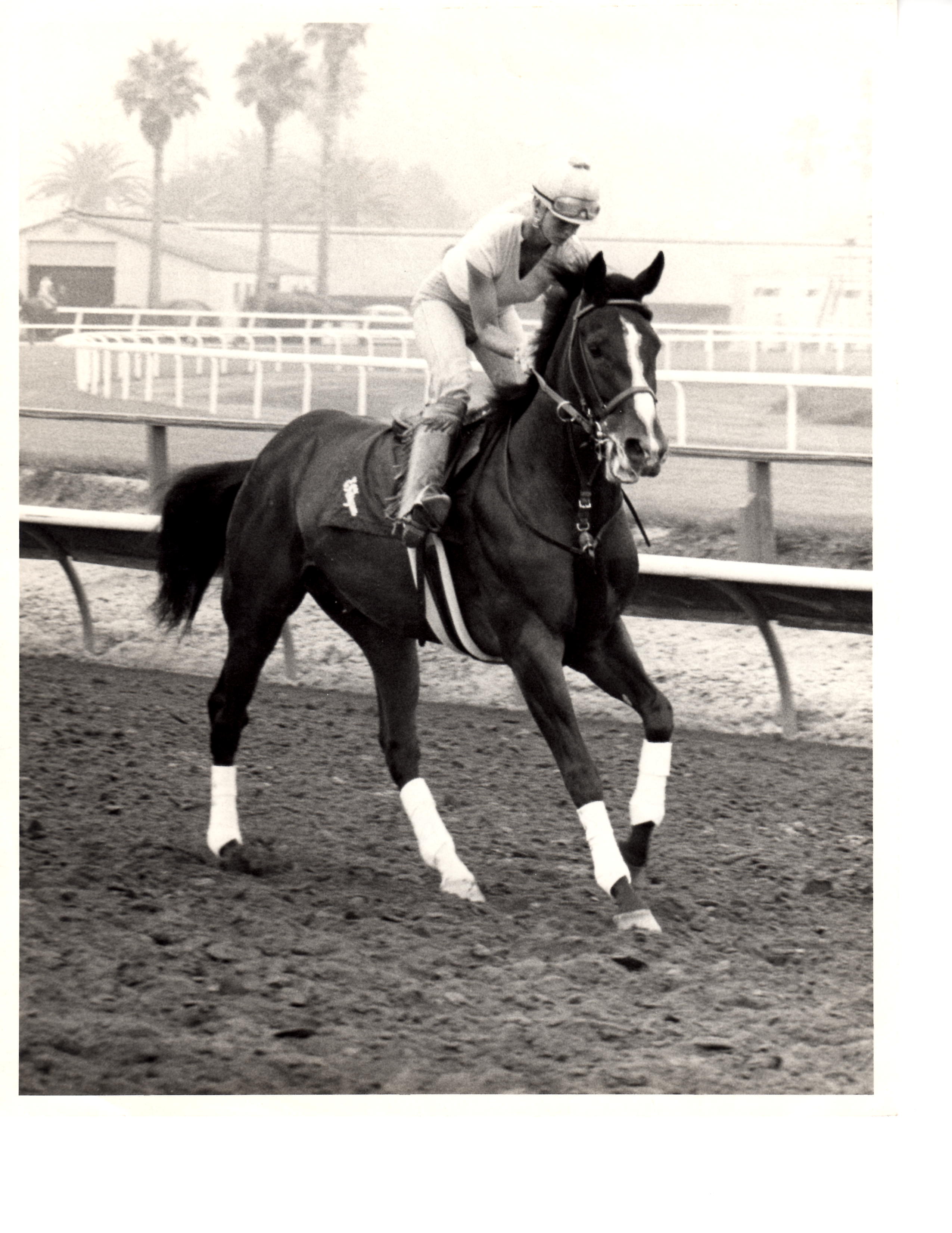 I used to train and exercise thoroughbred race horses at Santa Anita, Hollywood Park, and Del Mar!