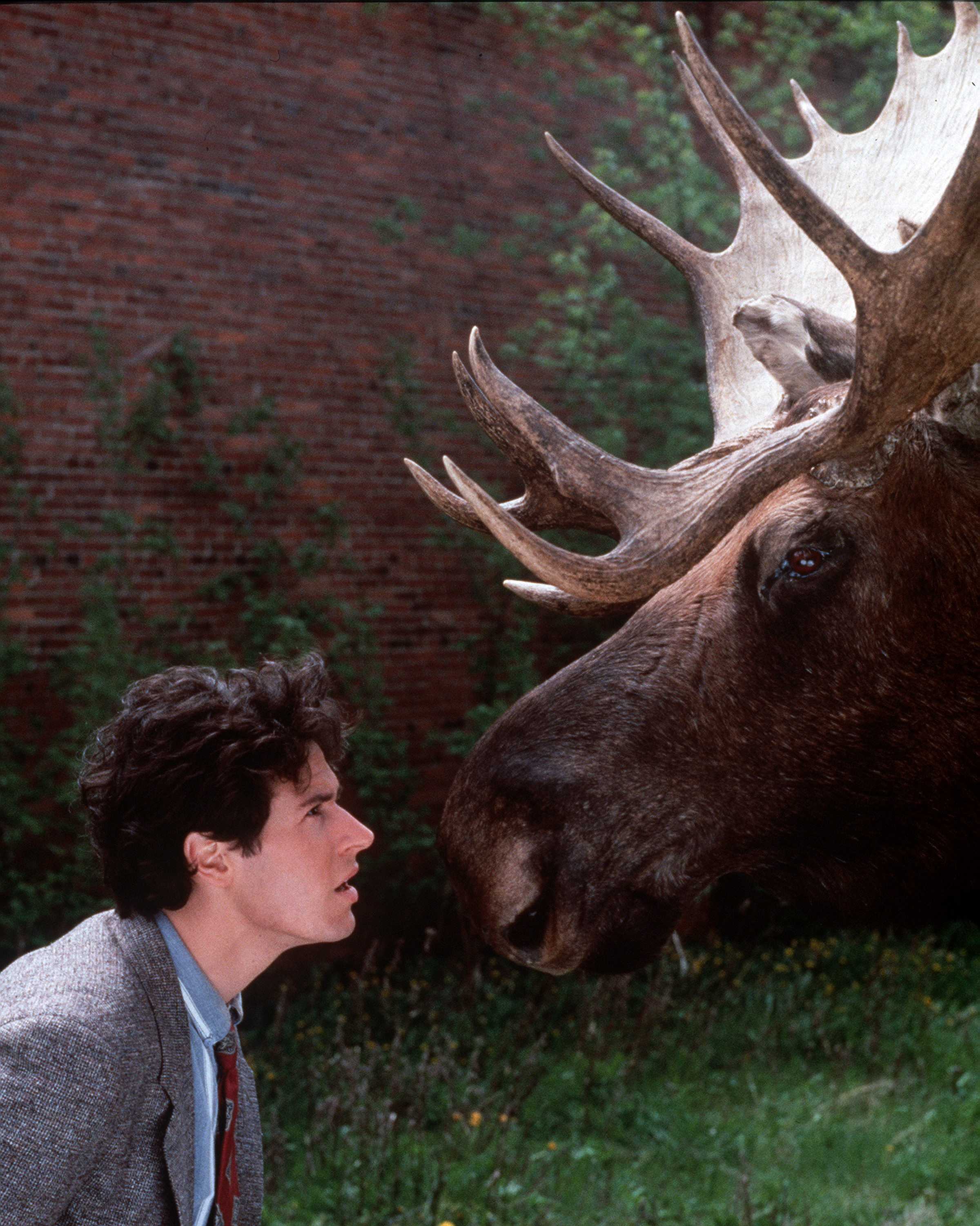 Still of Rob Morrow in Northern Exposure (1990)