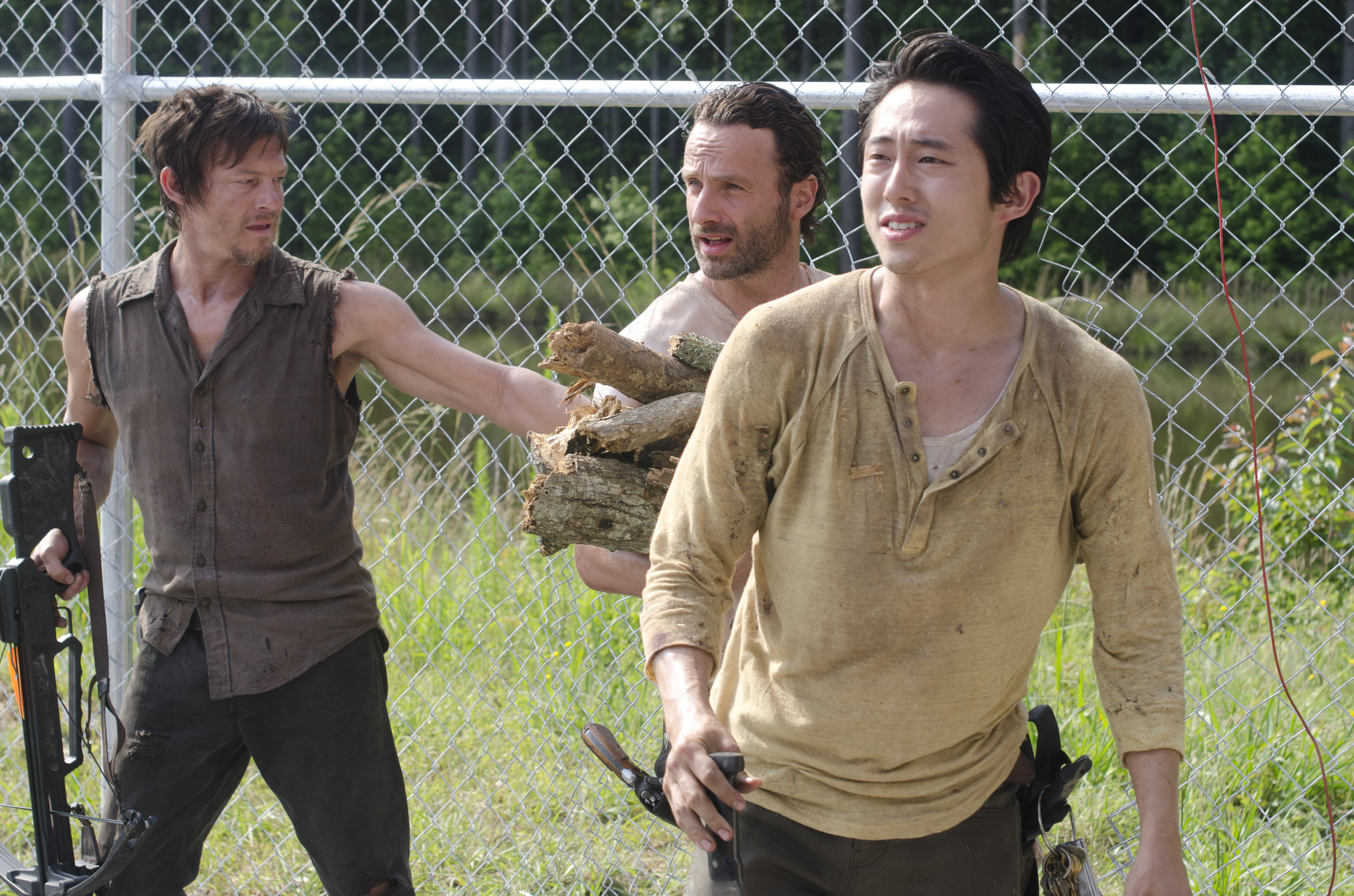 Still of Norman Reedus, Andrew Lincoln and Steven Yeun in Vaiksciojantys negyveliai (2010)