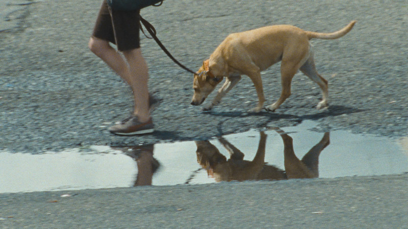 Still of Lucy in Wendy and Lucy (2008)