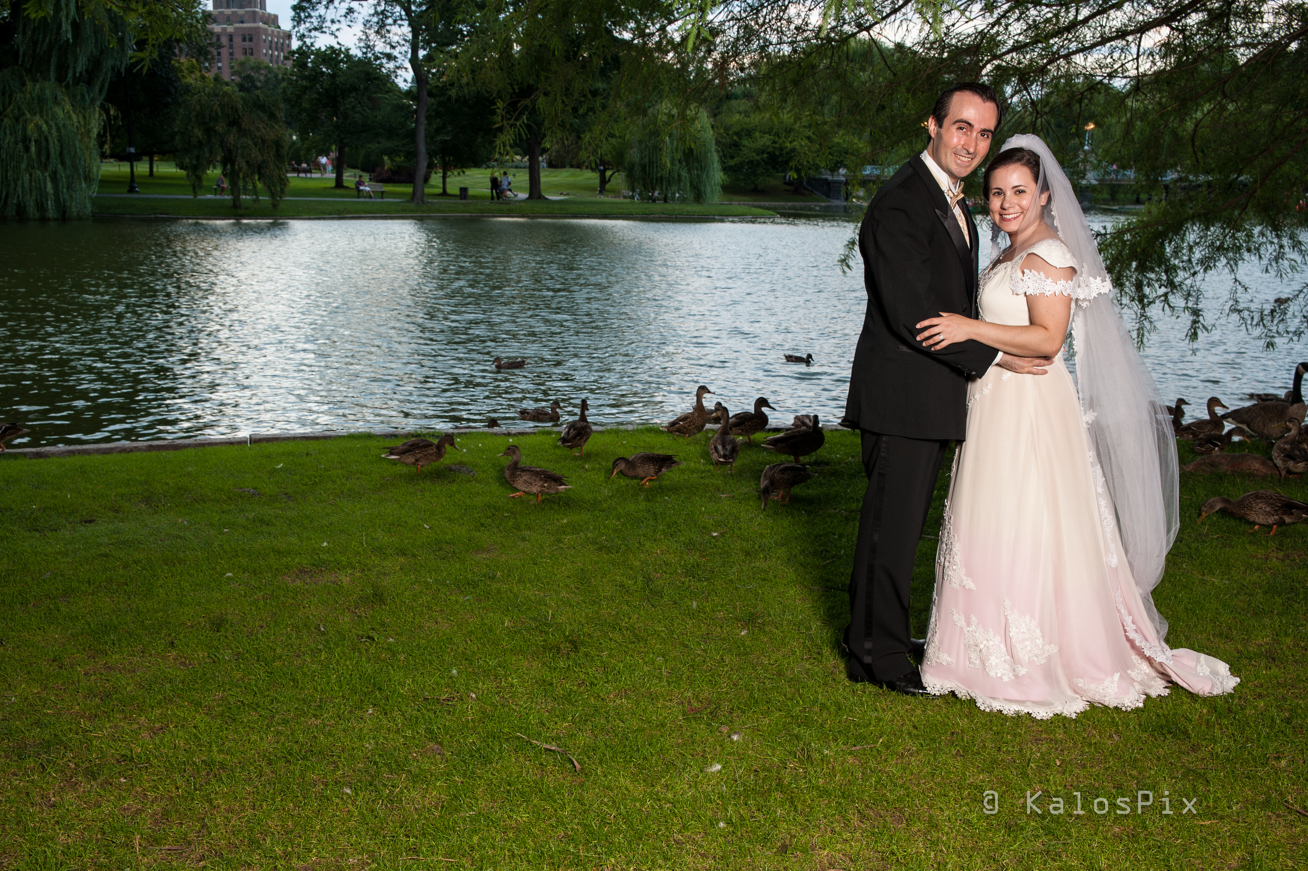 Dan Marshall & Shira Price Wedding Portrait at Boston Public Garden