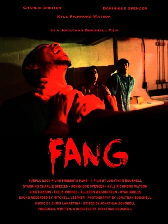 Theatrical Poster for the Independent Feature Length Horror/Comedy Film 