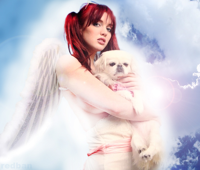 This is Veronica as a dog angel in Europe.