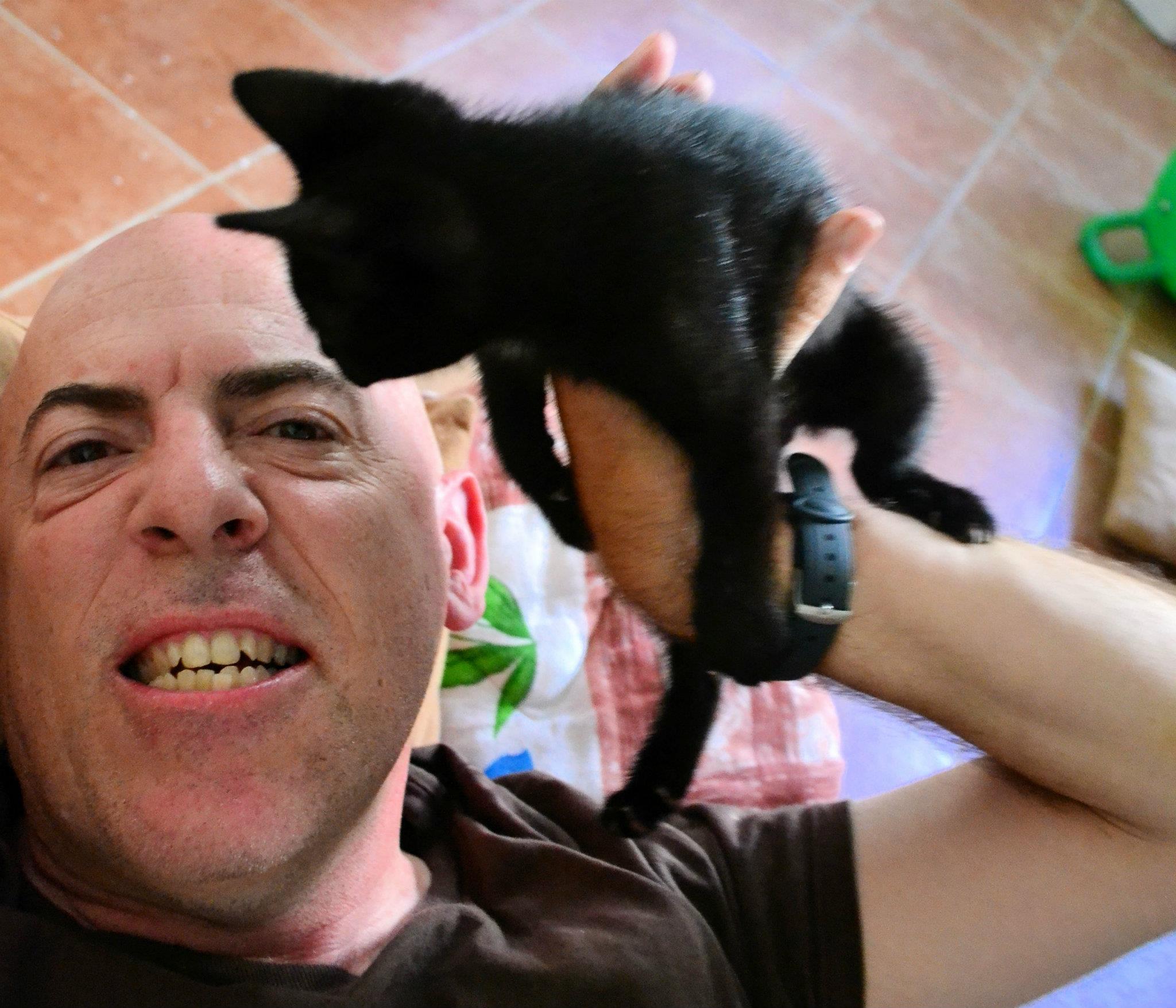 Under attack by an aggressive kitten at a hostel in Budva, Montenegro