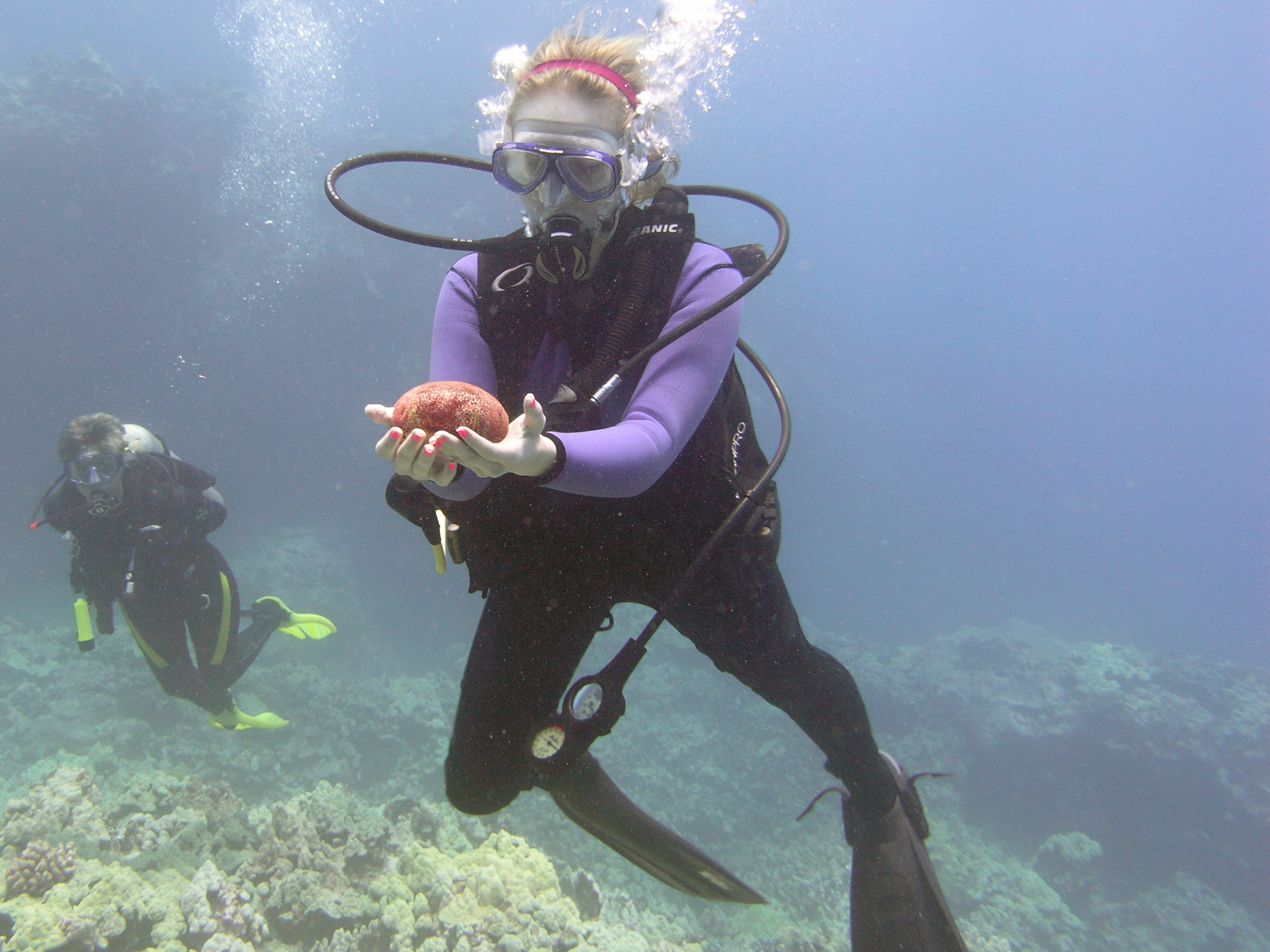 NAUI Certified Scuba Diver