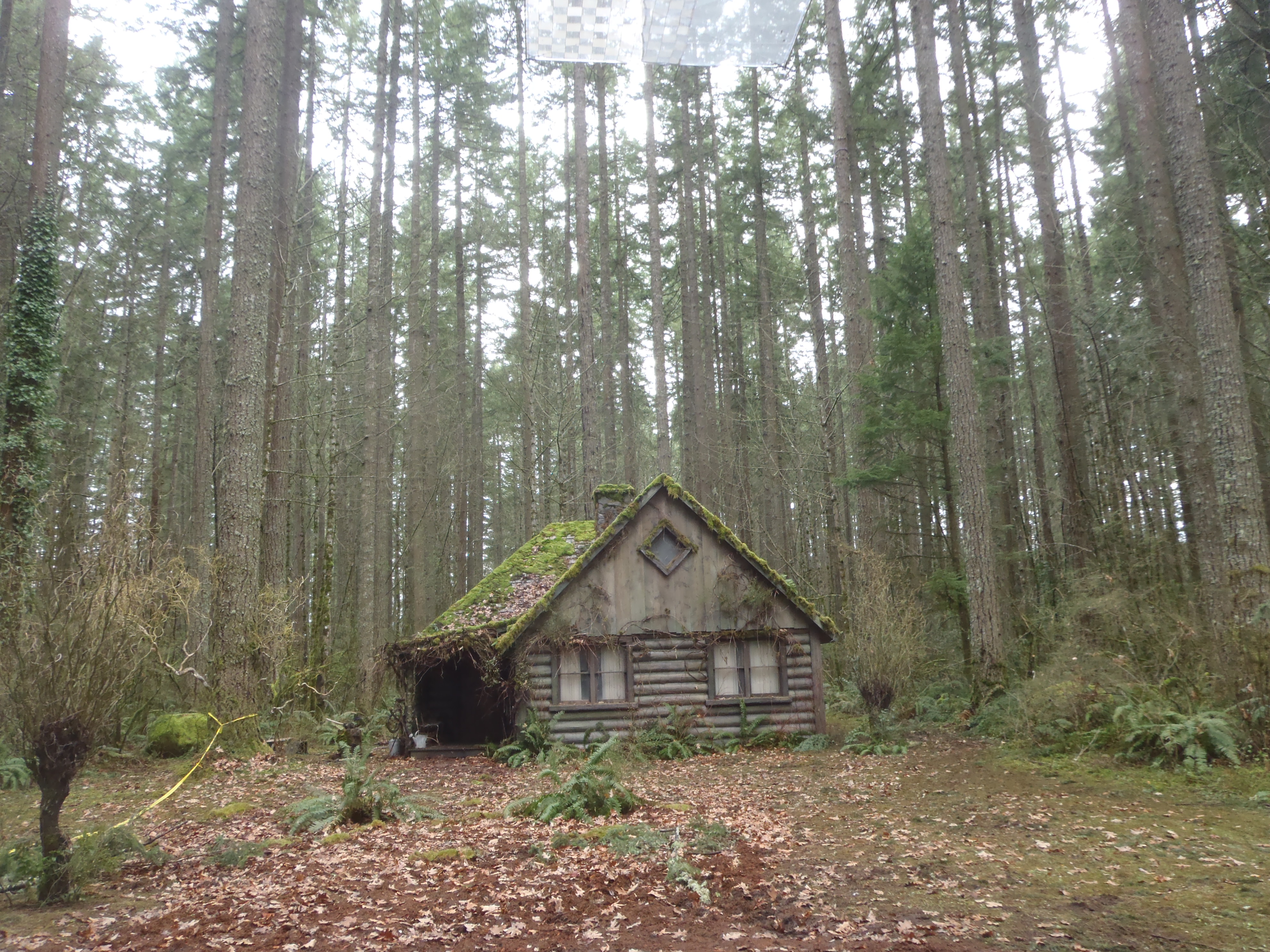 Grimm-The Forest Cabin