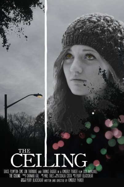 Poster for 'The Ceiling' by Kimberly Parker.