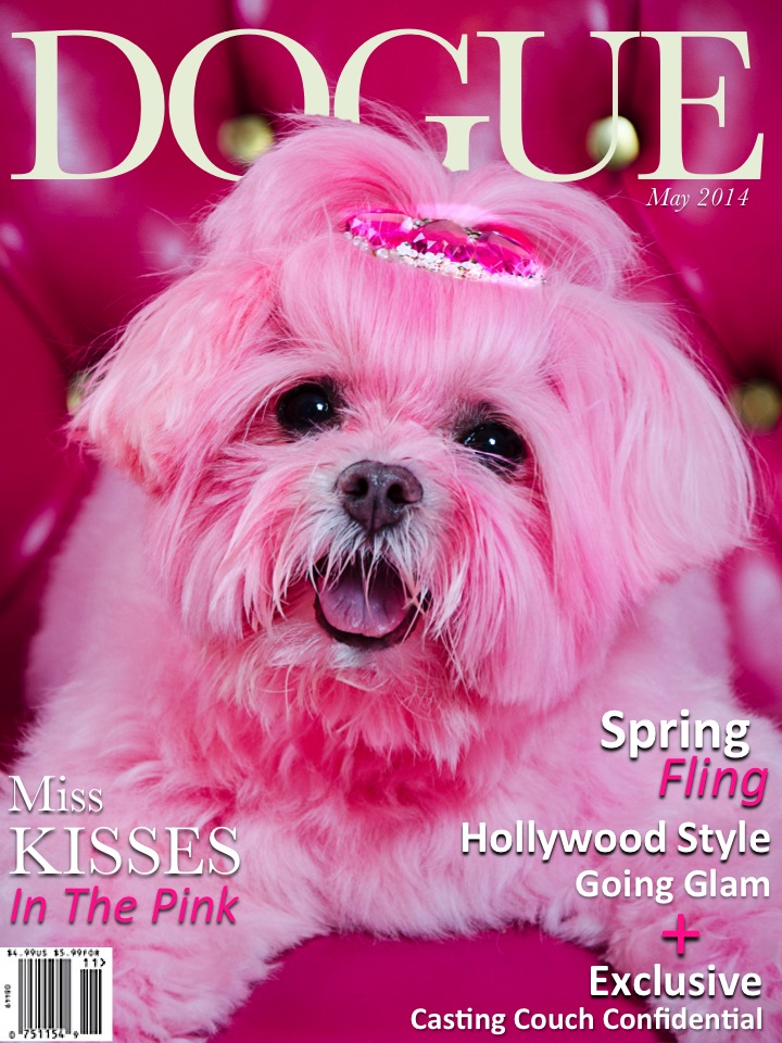 The VOGUE for dogs! Miss Kisses is a covergirl !!!