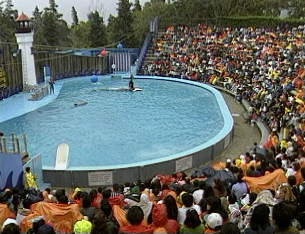 As the outcry mounted, representatives from various organizations  including Phillips, Berman and Dr. Rose met with the owners of the Reino Aventura theme park in Mexico City, where Keiko was confined. They explored every possibility, including moving him to another aquarium. None were willing to take him, due to the mysterious skin disease Keiko had developed, which members of the captive industry feared would spread to otherorcas in their parks. When the option was suggested to return Keiko to his native habitat, Warner Bros. approached the Earth Island Institute to serve as the orcas custodian.