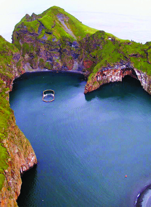 Klettsvik Bay in Vestmannaeyjar, Iceland where [Keiko] had been captured 19 years before. This had never been done before, there was no textbook, no manual on how to do this, so we just did it based on what Keiko wanted to do, says Berman. We were giving him a chance that no other captive orca has ever had  to go home to his family, to the sea, to feel the tides, the natural beauty of [Keiko's] home country.